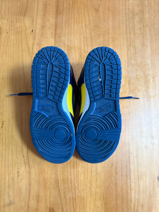 Nike Dunk Low 'Michigan' 2021 USED